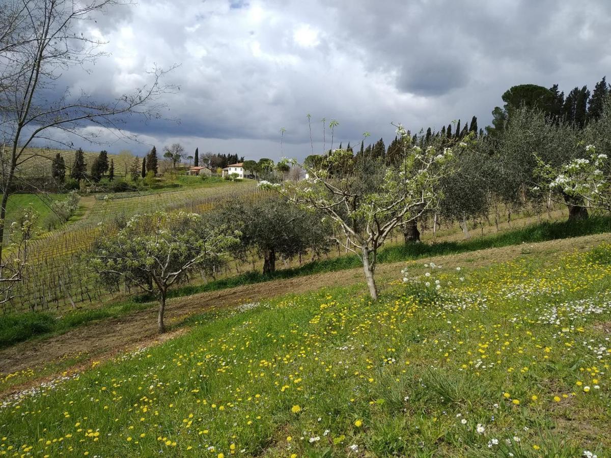 Agriturismo Ca'de'Gatti Faenza Exterior foto