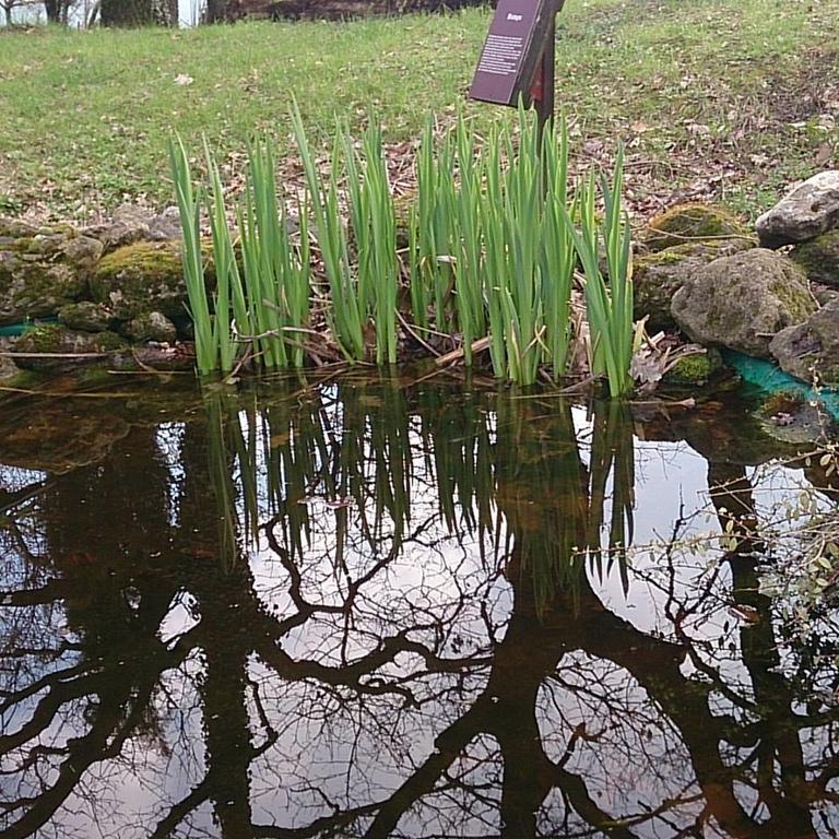 Agriturismo Ca'de'Gatti Faenza Exterior foto
