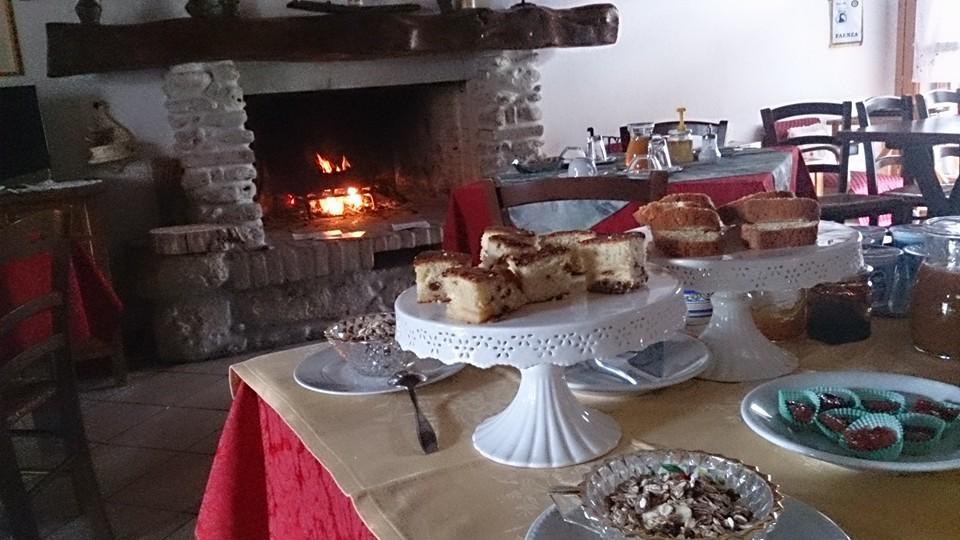 Agriturismo Ca'de'Gatti Faenza Exterior foto