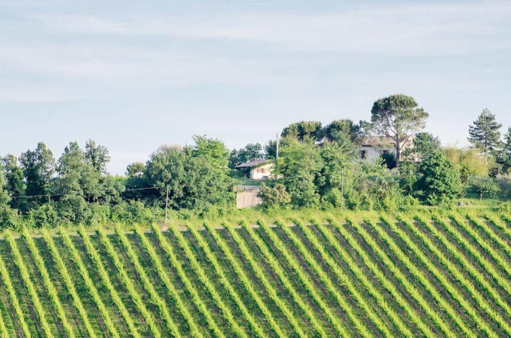 Agriturismo Ca'de'Gatti Faenza Exterior foto