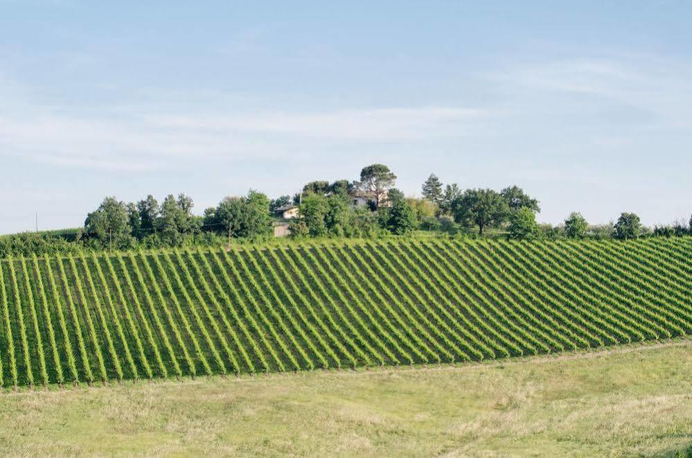 Agriturismo Ca'de'Gatti Faenza Exterior foto